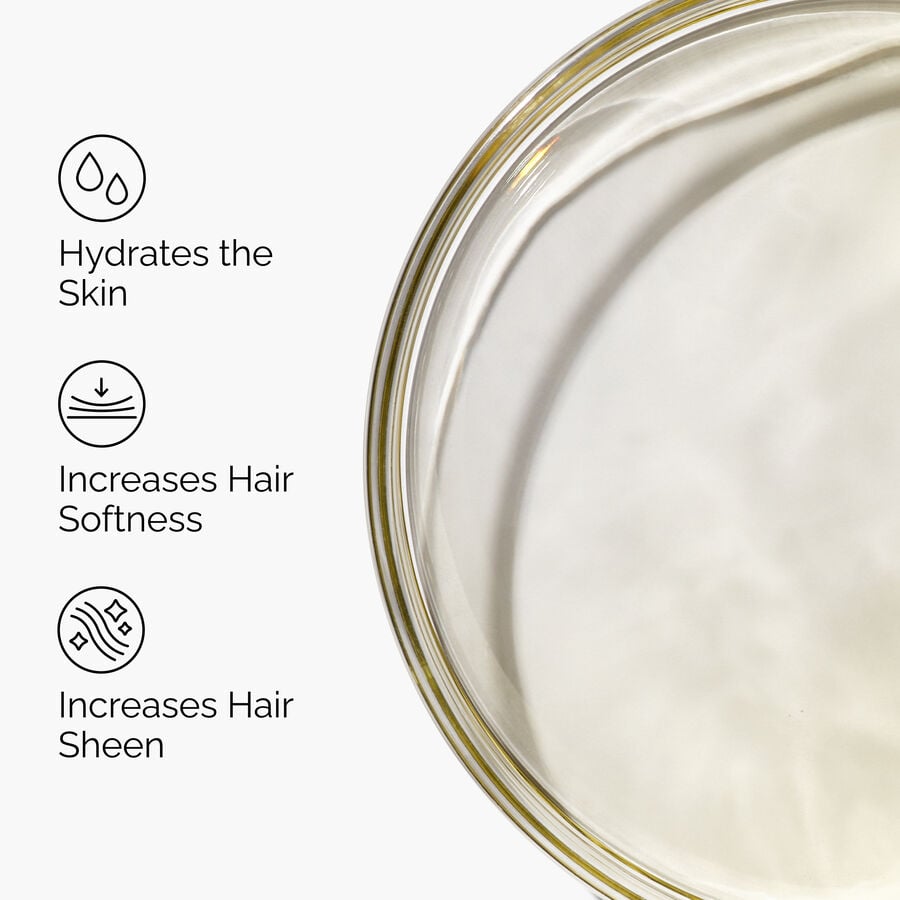 100-organic-cold-pressed-moroccan-argan-oil-x0 FY25-D41247-ORD-Web-PDP-100-Argan-Oil-1x1-EN-3.jpg