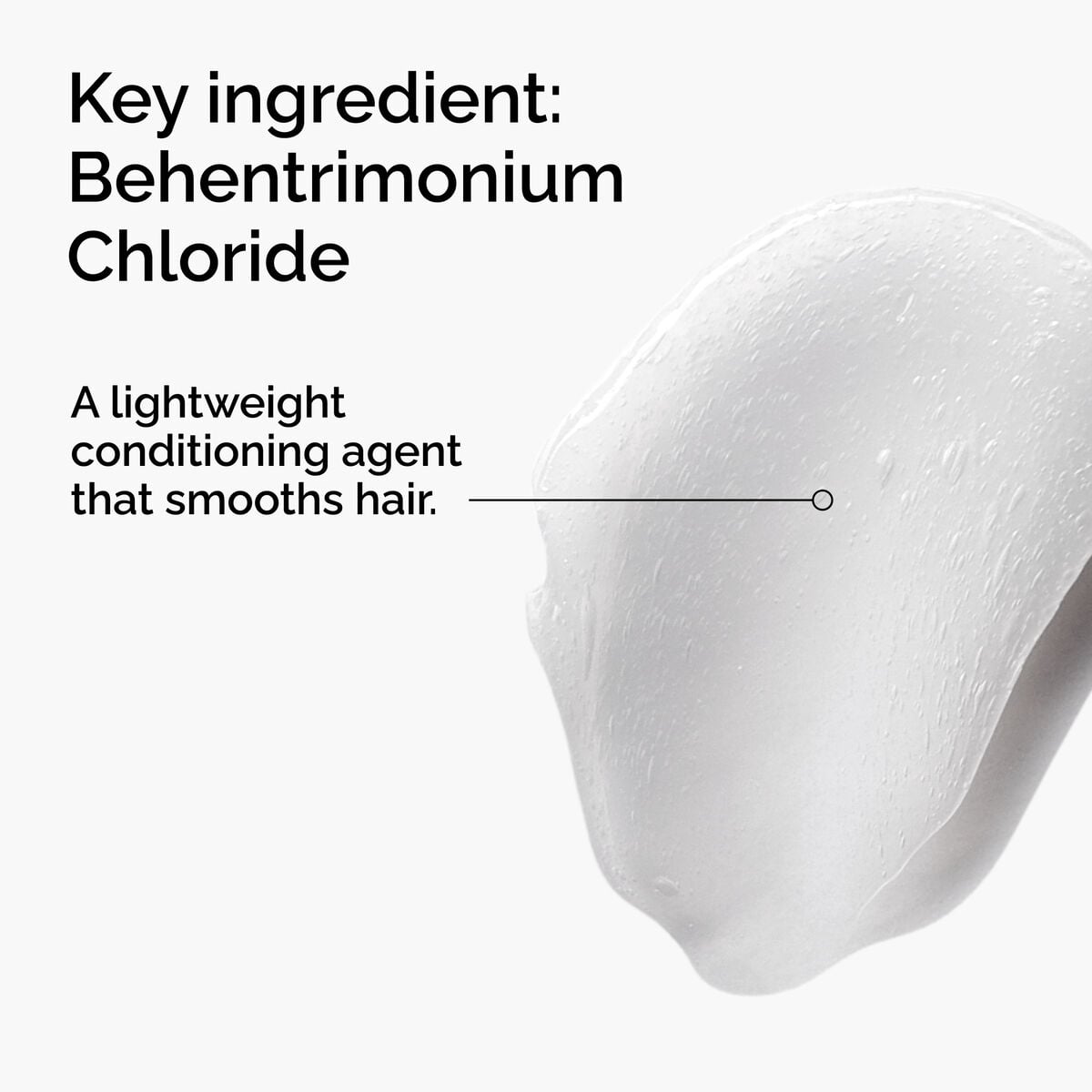 behentrimonium-chloride-2-conditioner-y0 FY25-D41247-ORD-Web-PDP-BTC-1x1-EN-2a.jpg
