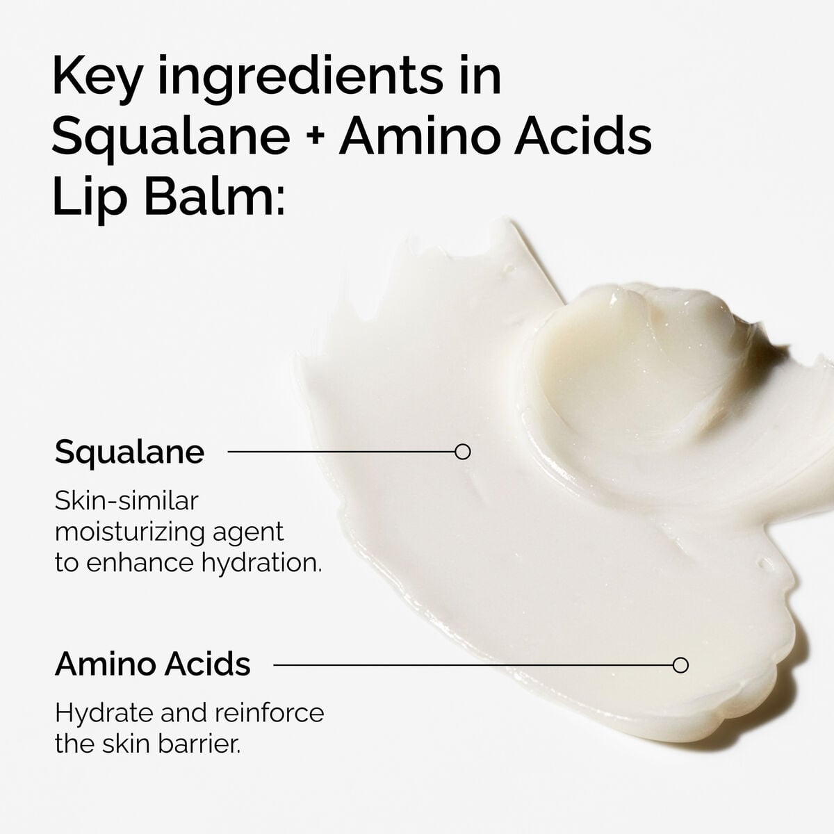 squalane-amino-acids-lip-balm-g2 FY25-D41247-ORD-Web-PDP-Sql-Amino-Lip-1x1-EN-2a.jpg